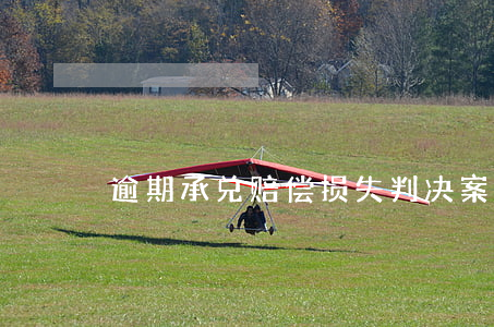 逾期承兑赔偿损失判决案例