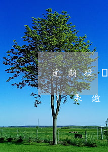 逾期投訴什么時(shí)候出結(jié)果 逾期啥時(shí)候