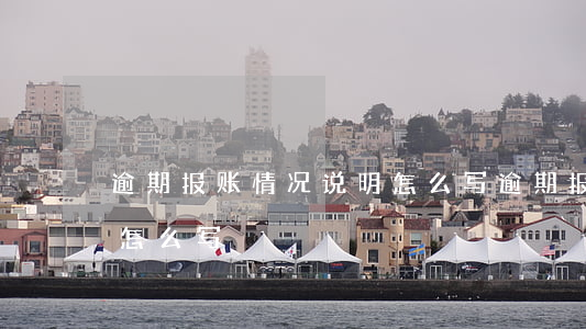 逾期报账情况说明怎么写（逾期报账情况说明怎么写）