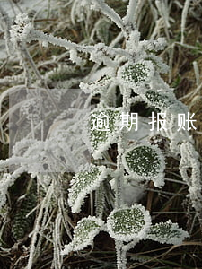 逾期报账的弊端(逾期报账的弊端)