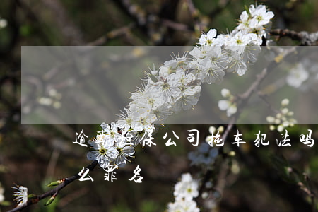 逾期担保公司拖车犯法吗 担保公司拖车是什么罪名