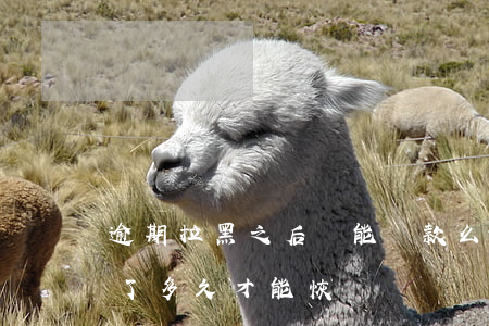 逾期拉黑之后還能還款么(逾期拉黑了把錢還了多久才能恢復)