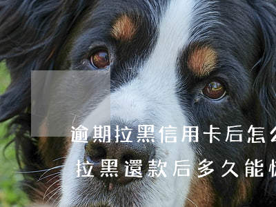 逾期拉黑信用卡后怎么還款(因貸款逾期征信拉黑還款后多久能恢復(fù))