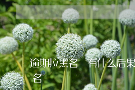 逾期拉黑名單有什么后果（信用卡逾期會拉黑名單）