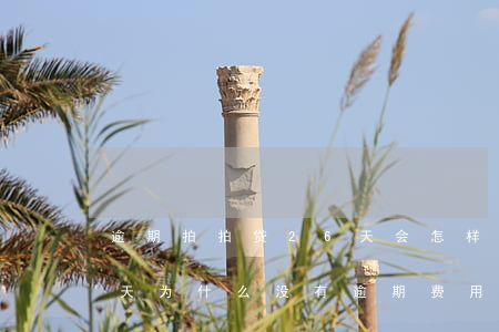 逾期拍拍贷26天会怎样(上海拍拍贷逾期一天为什么没有逾期费用)
