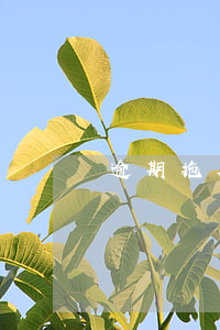 逾期拖欠信用卡5萬以上(信用卡欠款超過五萬)