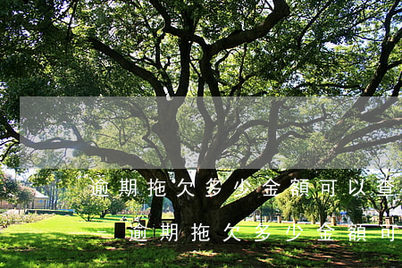逾期拖欠多少金額可以查封凍結(jié)-逾期拖欠多少金額可以查封凍結(jié)銀行卡