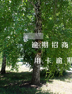 逾期招商信用卡會(huì)起訴嗎(招商信用卡逾期多久會(huì)被起訴怎么處理)