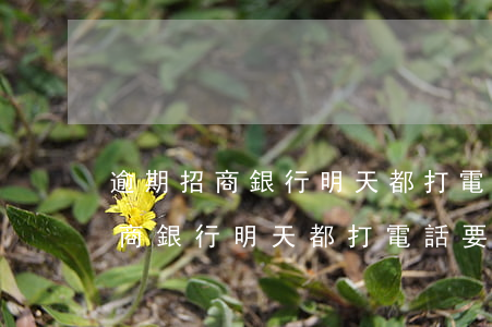 逾期招商銀行明天都打電話要接嗎-逾期招商銀行明天都打電話要接嗎是真的嗎