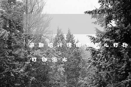 逾期招行信用卡怎么打印流水(招商銀行怎么打印流水賬單)