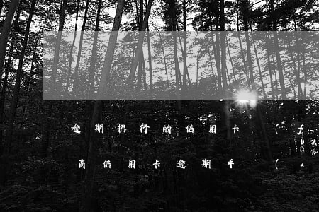 逾期招行的信用卡費(fèi)用(怎么查招商信用卡逾期手續(xù)費(fèi)到底有多少)