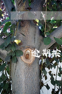 逾期按天算吗(逾期一天算不算)