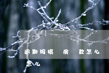 逾期按揭買房貸款怎么辦(逾期按揭買房貸款怎么辦)