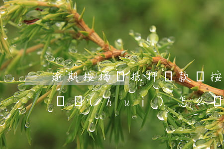 逾期按揭車抵押貸款嗎(按揭車抵押了逾期不還會(huì)怎么辦)