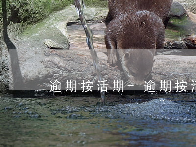 逾期按活期-逾期按活期