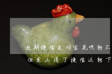 逾期捷信支付宝花呗能不能用(花呗有过逾期但是还清了捷信还能下款吗)