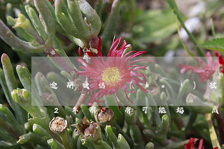 逾期捷信會(huì)被起訴嗎-捷信逾期2年,有沒有可能起訴成功的可能