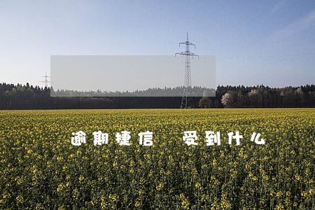 逾期捷信會受到什么懲罰