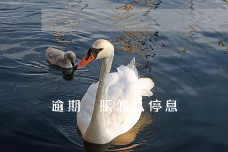 逾期掛賬怎么停息