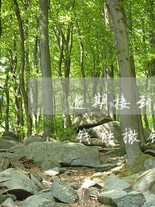 逾期接到传票怎么办(逾期收到法院传票 还完钱能撤销吗)