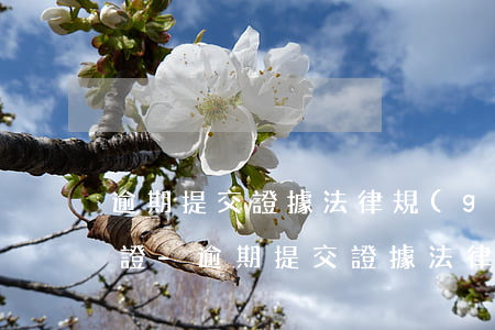 逾期提交證據法律規(guī)定不同意質證-逾期提交證據法律規(guī)定不同意質證的情形
