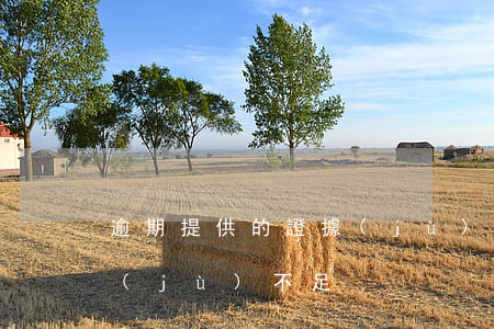 逾期提供的證據(jù)-逾期提供的證據(jù)不足