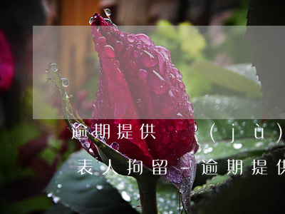 逾期提供證據(jù)對(duì)法定代表人拘留-逾期提供證據(jù)對(duì)法定代表人拘留有影響嗎
