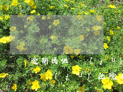 逾期提供證據(jù)法院采納嗎 逾期提供證據(jù)法院采納嗎