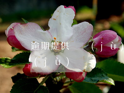 逾期提供證據(jù)的后果（逾期提供證據(jù)）
