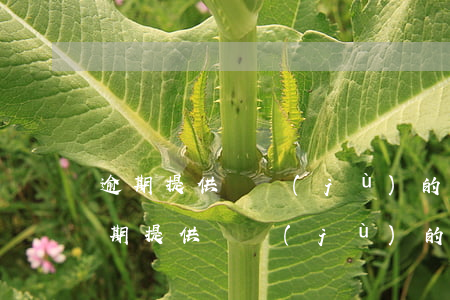 逾期提供證據(jù)的規(guī)定(逾期提供證據(jù)的規(guī)定有哪些)