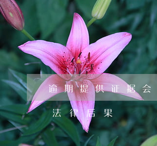 逾期提供证据会有什么法律后果(逾期举证的法律后果)