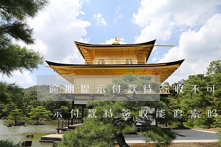 逾期提示付款待签收不可追究前手-逾期提示付款待签收能追索吗