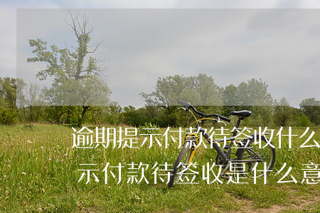 逾期提示付款待签收什么意思-承兑到期提示付款待签收是什么意思