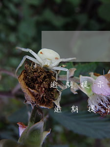 逾期提示付款要如何申請(qǐng)退款（逾期提示付款要如何申請(qǐng)）