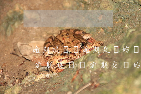 逾期提貨與逾期交貨的違約責(zé)任-逾期提貨與逾期交貨的違約責(zé)任區(qū)別