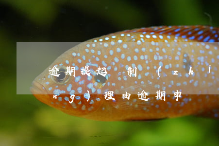 逾期提起強制執(zhí)行的正當(dāng)理由 逾期申請強制執(zhí)行