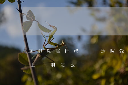 逾期提起行政訴訟法院受理嗎 行政訴訟過了上訴期怎么辦