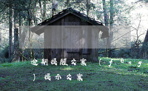 逾期提醒文案(風(fēng)險(xiǎn)提示文案)