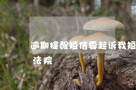 逾期提醒短信要起诉我(短信说我逾期被告到法院)