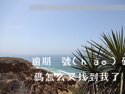 逾期換號(hào)碼(逾期換號(hào)碼怎么又找到我了)