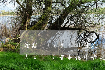 逾期擔(dān)保人會(huì)不會(huì)有事（信用卡逾期對(duì)擔(dān)保人有影響嗎）