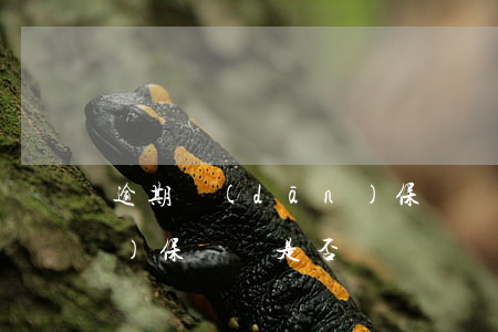 逾期擔(dān)保訴訟-逾期擔(dān)保訴訟是否確認負債