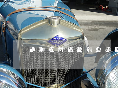 逾期支付借款利息(逾期支付借款利息會計分錄)