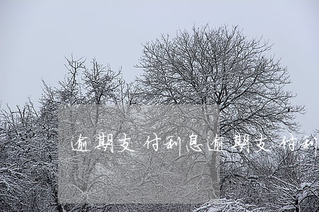 逾期支付利息(逾期支付利息的條款)