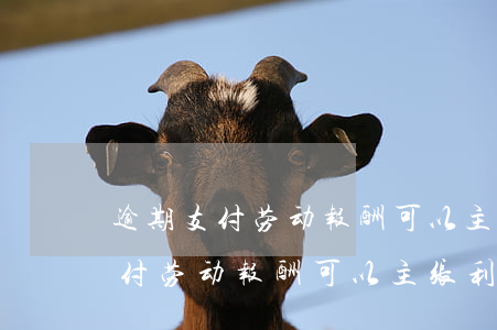逾期支付劳动报酬可以主张利息吗-逾期支付劳动报酬可以主张利息吗合法吗