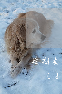 逾期支付勞務(wù)費(fèi)如何承擔(dān)違約責(zé)任-逾期支付勞務(wù)費(fèi)如何承擔(dān)違約責(zé)任呢