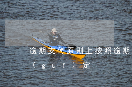 逾期支付原則上按照 逾期支付貨款的法律規(guī)定