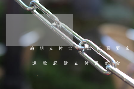 逾期支付合同款可否要逾期支付違約金（逾期還款起訴支付違約金）