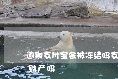 逾期支付宝会被冻结吗(支付宝逾期是先冻结财产吗)