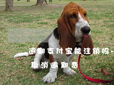 逾期支付宝能注销吗-支付宝逾期怎么可以取消逾期费